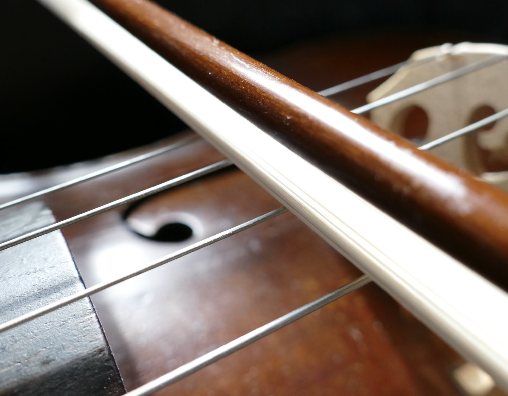 Milica Mima Jovanovic Cello Piano Violin and Guitar Professor offering the best private online live one on one classes